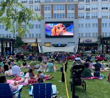 Paw Patrol Family Flicks